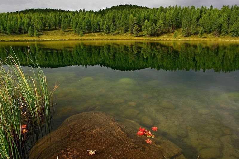 горный, алтай, горы, озеро \