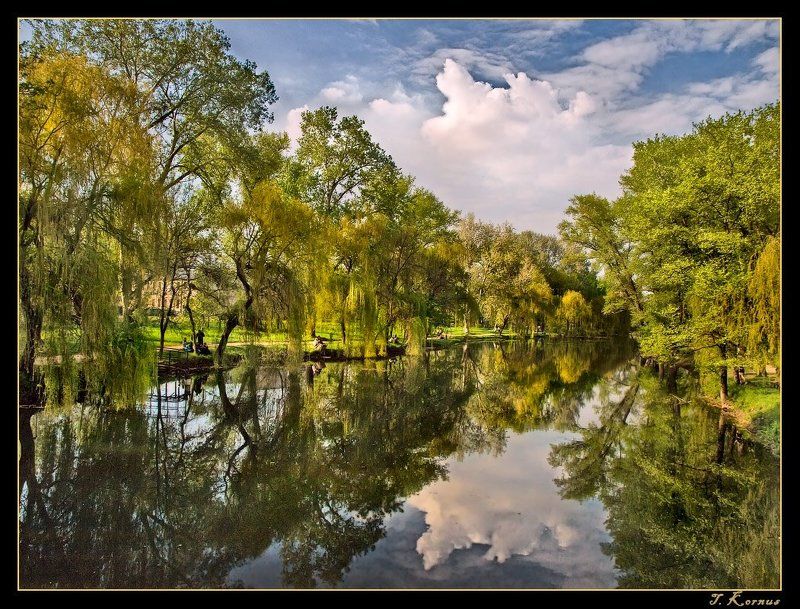 запорожье,парк,весна,май Весной в паркеphoto preview