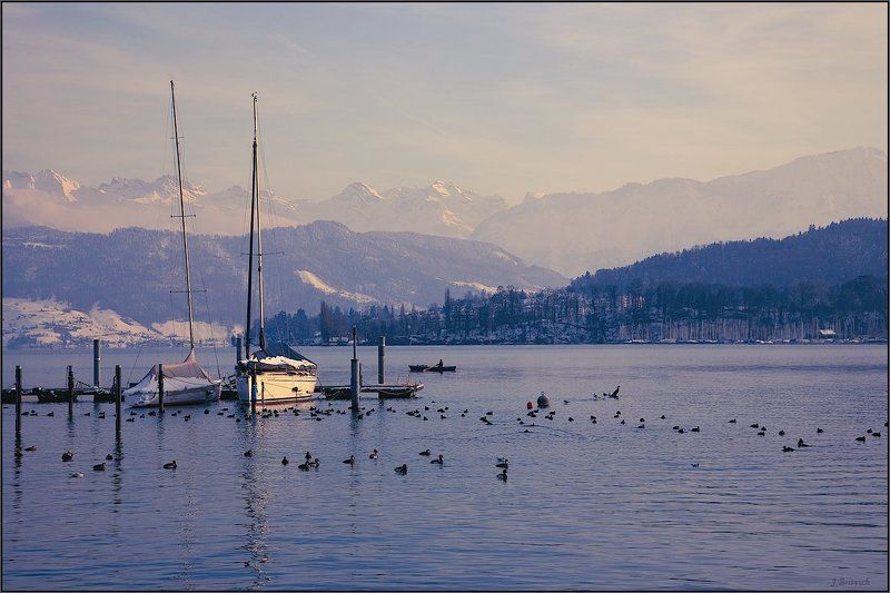 зимний, заплыв Зимний заплывphoto preview