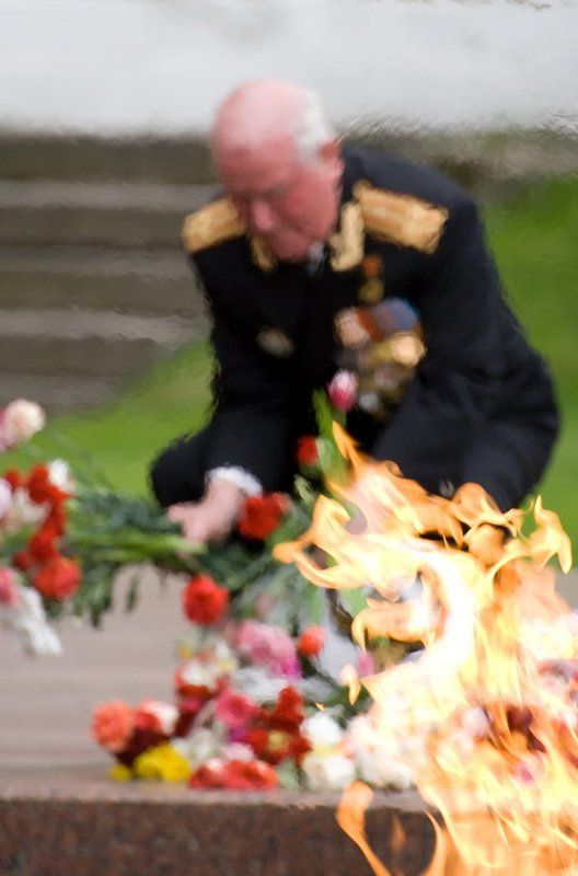 9 мая, день победы, вечный огонь, праздник, ветеран Вечная памятьphoto preview