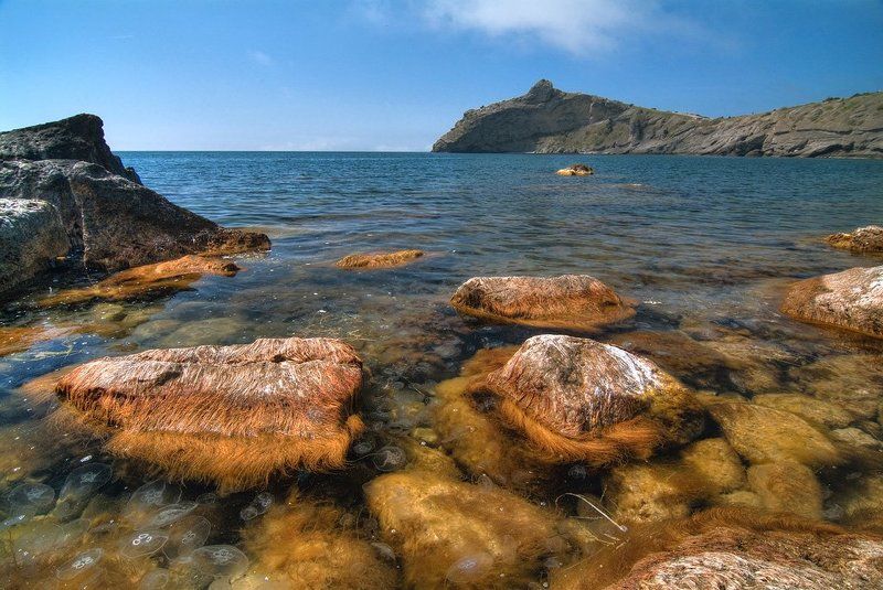 крым , море , новый свет Новый Светphoto preview