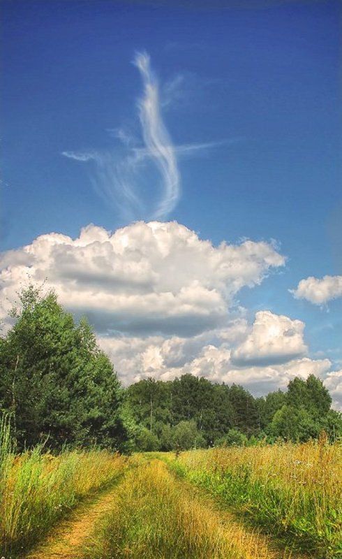 луг, лес, небо, облака Жаркий денёк.photo preview