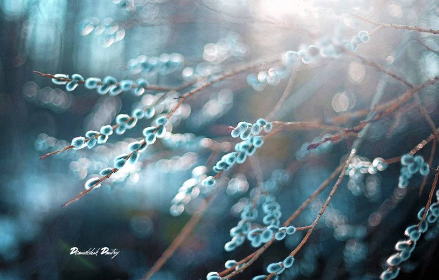 , Дмитрий Демидчик