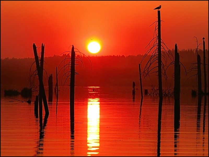 закат,небо,пейзаж,пруд,удмуртия Red Planetphoto preview