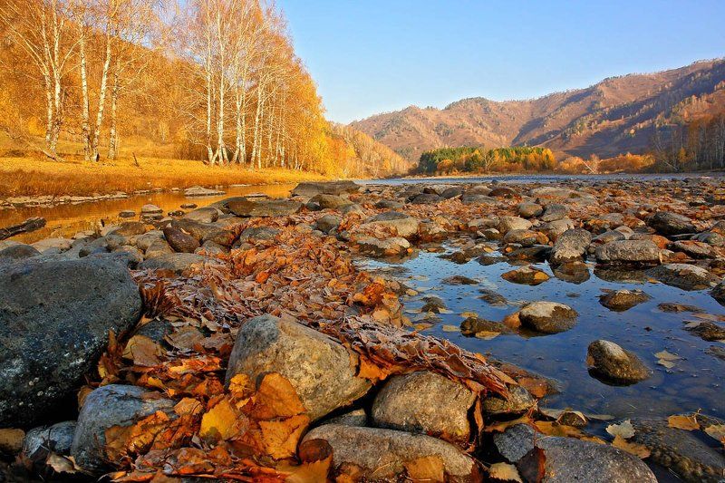 алтай, горы, осень, река \