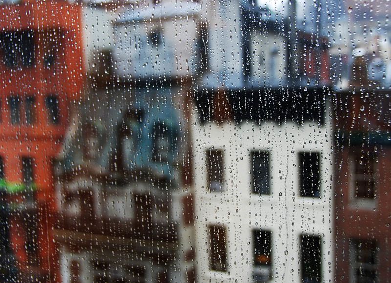 nyc, new york, moma Tears of New Yorkphoto preview