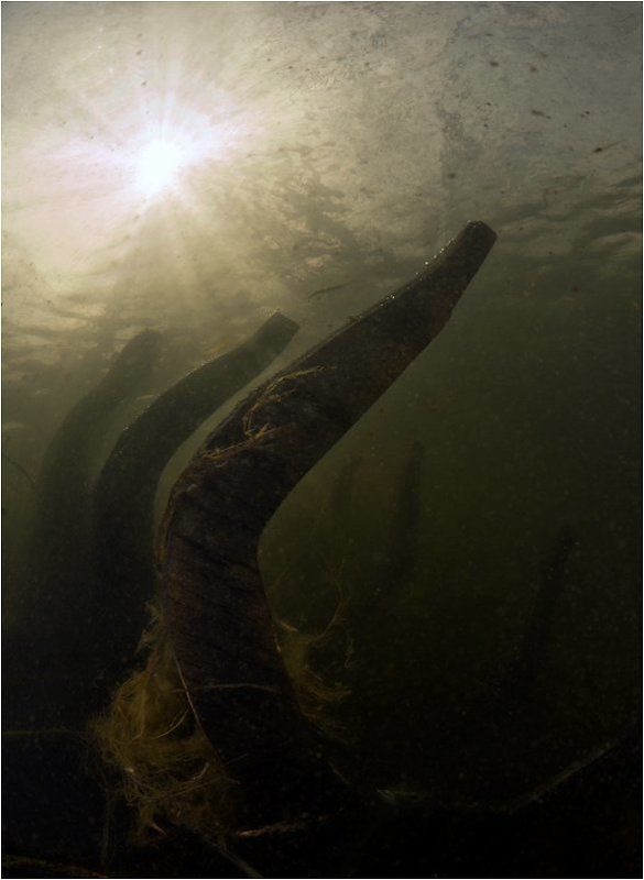 пресная, вода, озеро Ребра историиphoto preview