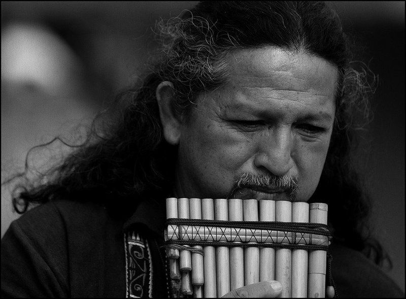 Лицаphoto preview