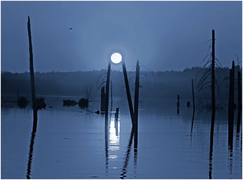 пейзаж,пруд,коллаж,туман Сказочный мир Вверх-Удинского прудаphoto preview