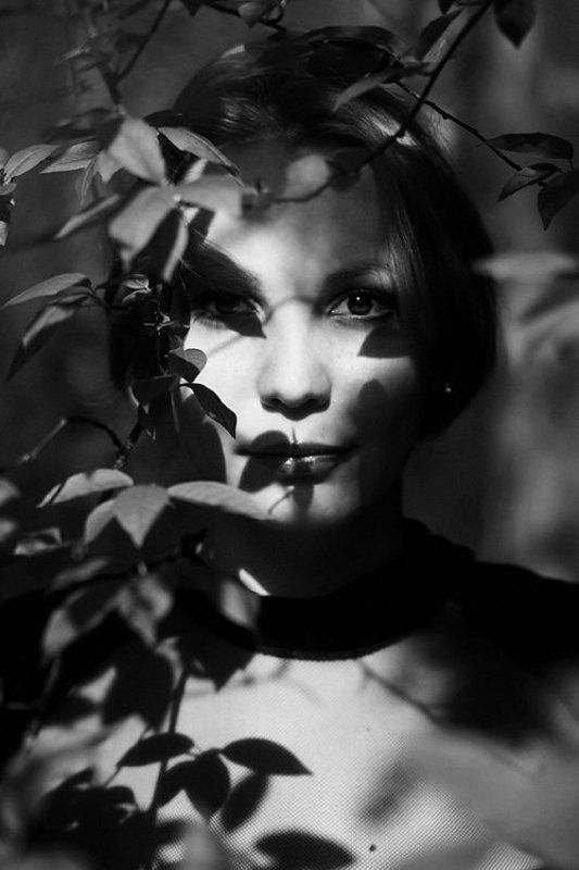 silencephoto preview