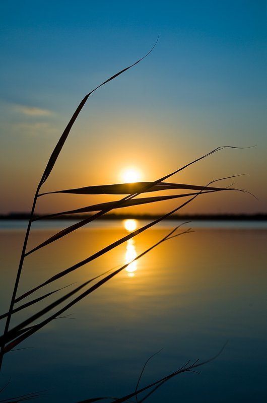 крым, евпатория, мойнаки, закат Лаконичное фото...photo preview