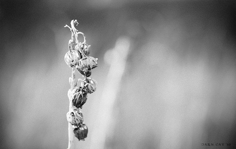 my, feelings, of, this, moment My feelings of this moment..photo preview