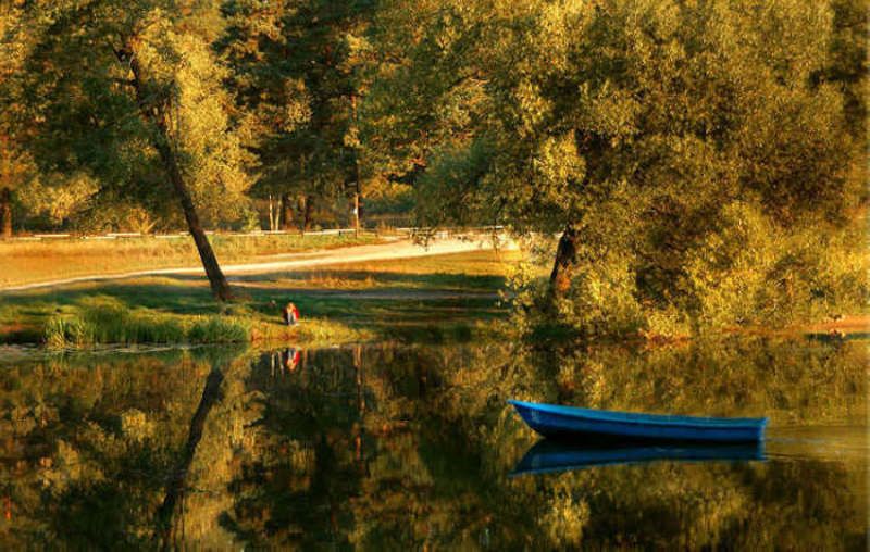 ..две вечных подруги: любовь и разлука.. фото превью