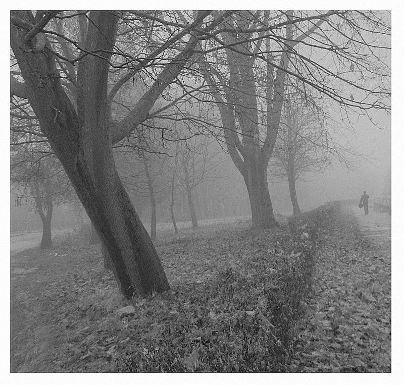 ...мы уходим для того чтобы вернутся......photo preview