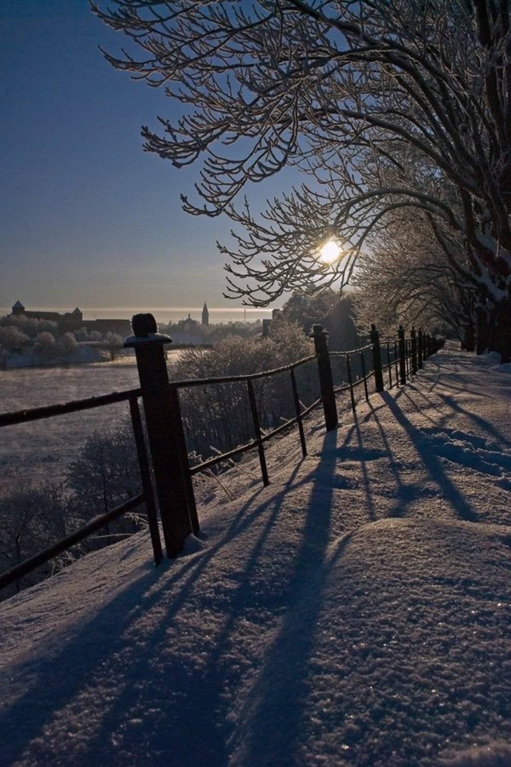 , Игорь Вишняков