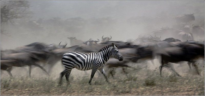 О разном...photo preview