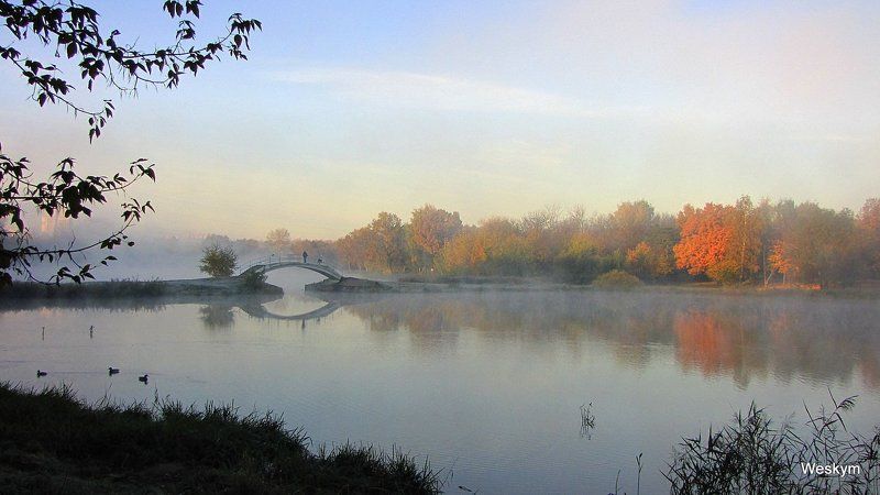 природа,пейзаж Природаphoto preview