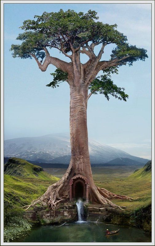 дерево, холмы, природа, лодка, рыбак, ручей, омут Древо фото превью