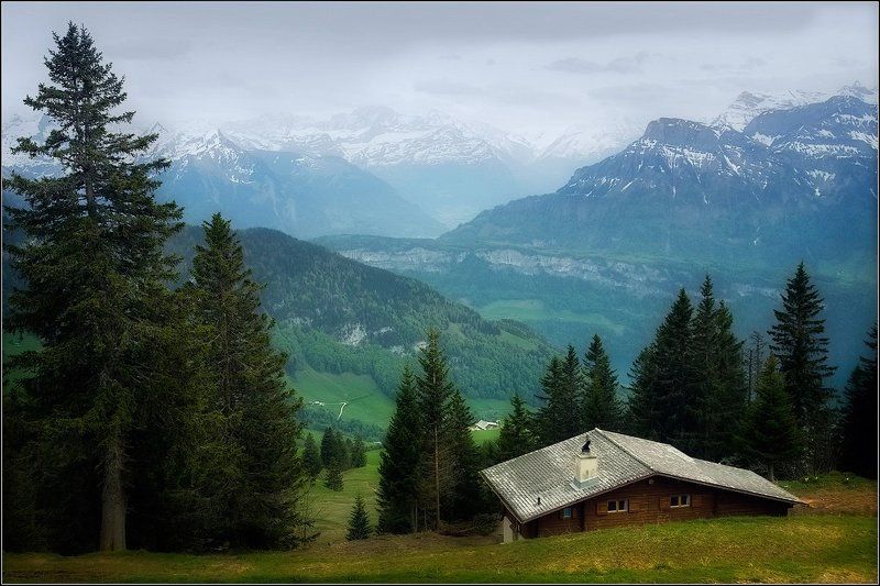 Прохладный майphoto preview