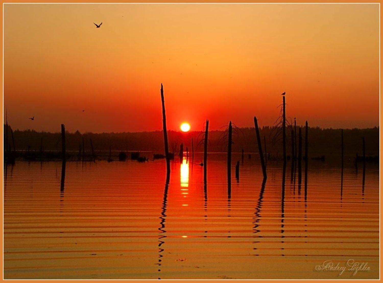 пейзаж,небо,закат,пруд,удмуртия, Андрей,любитель 35photo