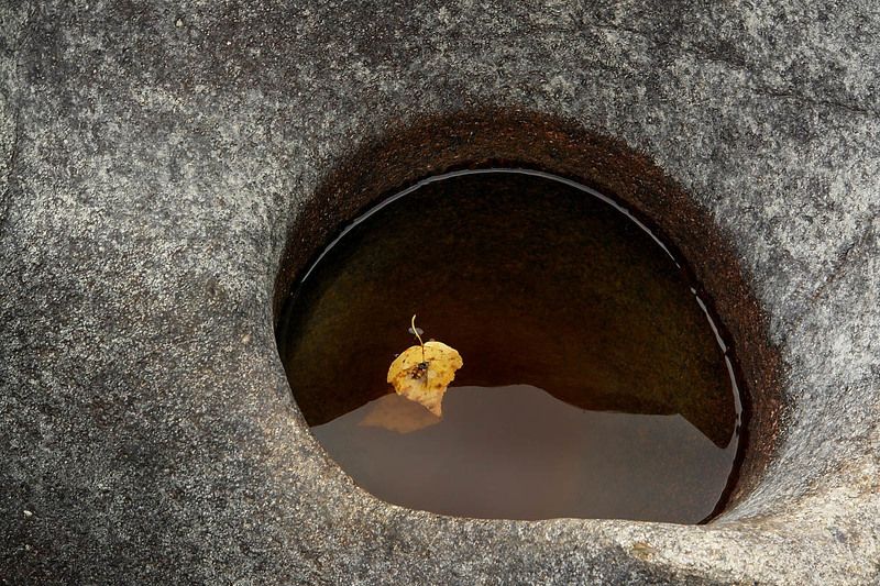 горный, алтай, камни, пчела \