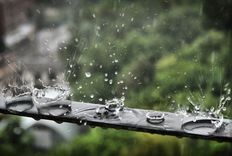 В Киеве сегодня дождьphoto preview