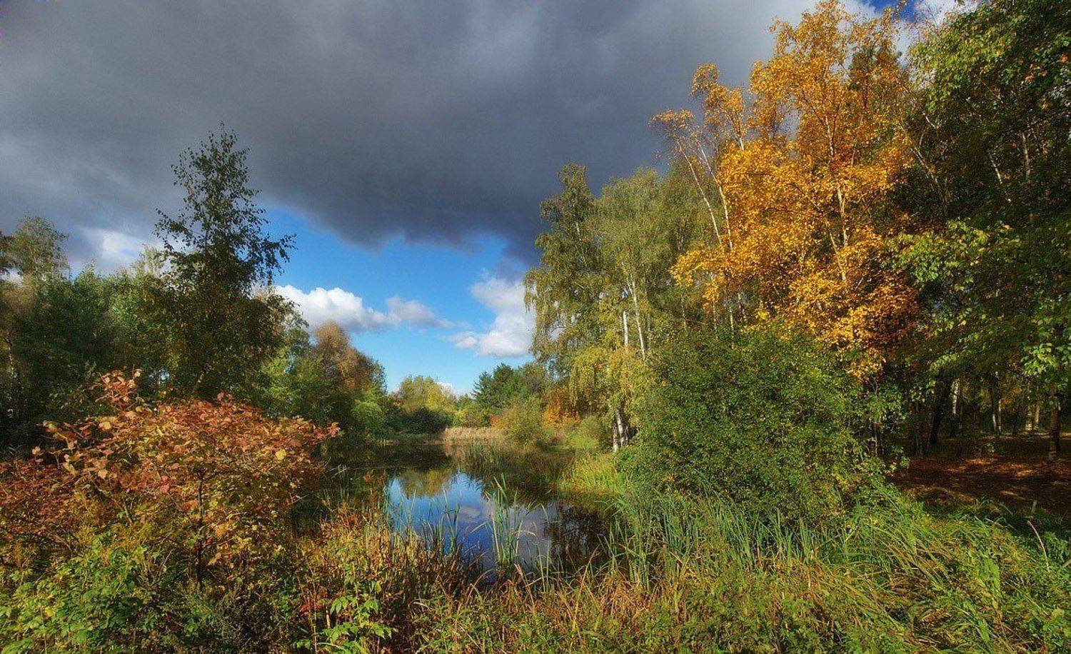 , Артур Абидинов