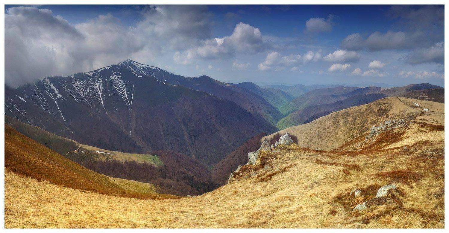 ***. Автор: Денис Кривой , Денис Кривой