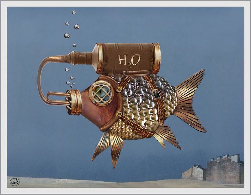 рыбы, вода, море, акваланг Печальная рыбка фото превью