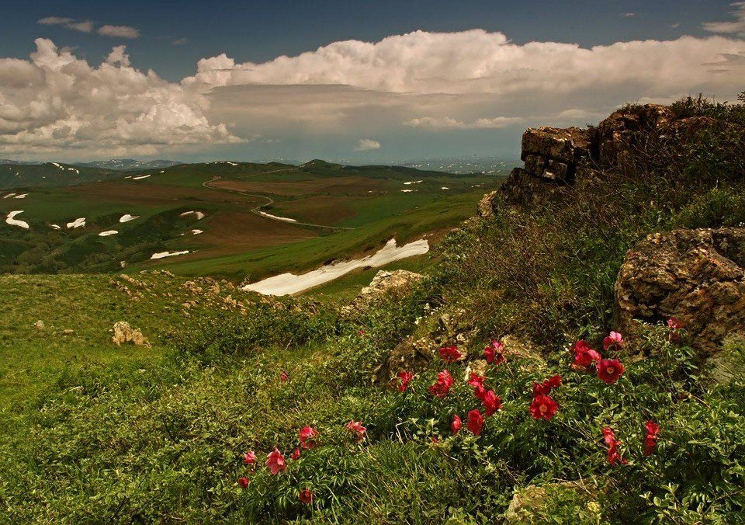 алтай, восточный казахстан, Александр