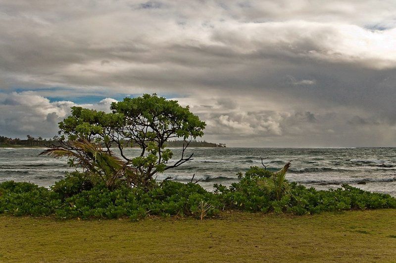 Пасмурно...photo preview