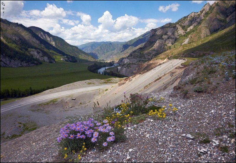 altai, russia, алтай, россия, белый бом, чуйский тракт, чуя Разноцветье...photo preview