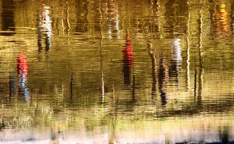 весна, май, прогулка, лес Майская прогулка... не в такт.. невпопад.. Кросовки, ботинки по лесу шуршат.. фото превью