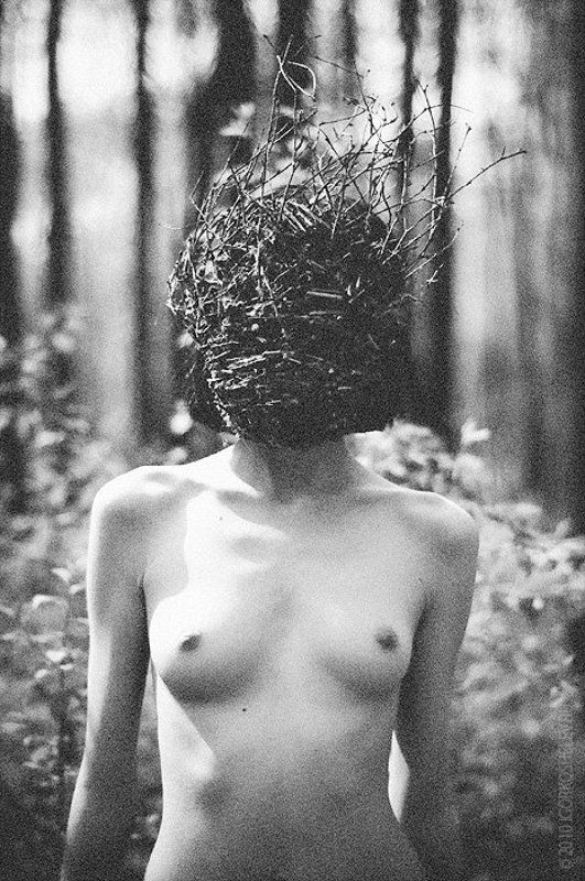 Плетеный человекphoto preview