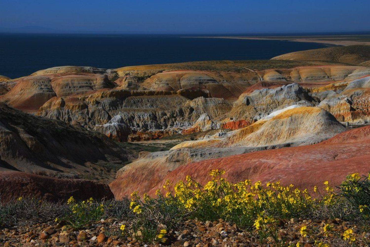 восточный, казахстан, весна, Александр