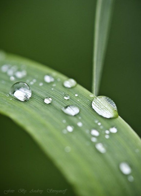 * * * *photo preview