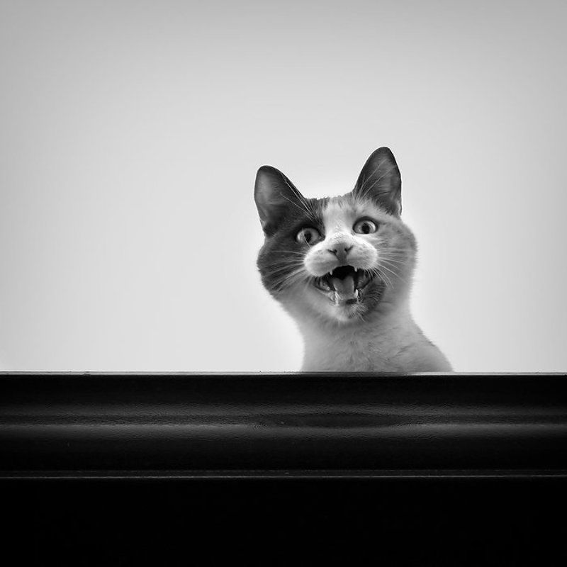 Снимите меня!photo preview