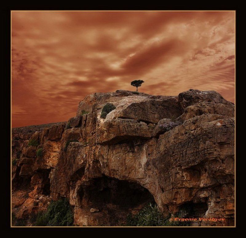 скала. одинокое дерево, обрыв У края бездны...photo preview