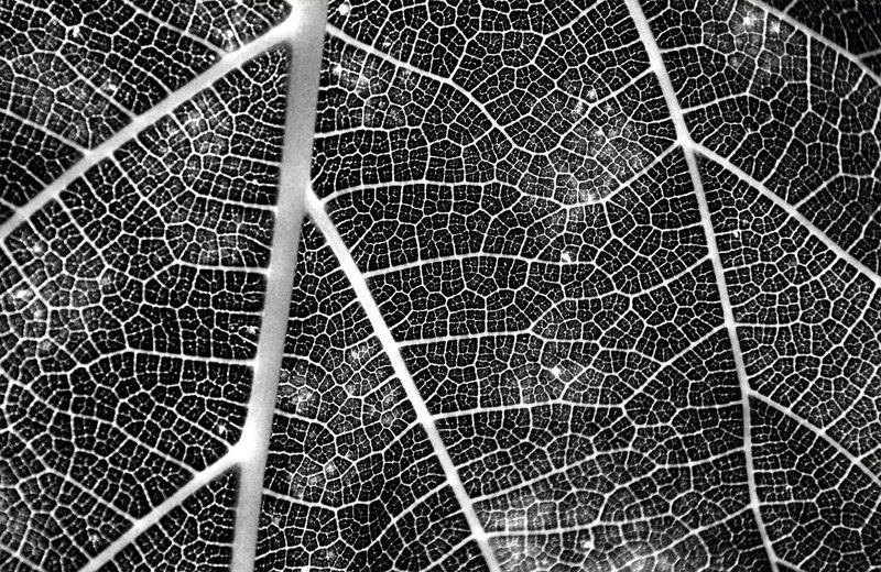 Градостроительствоphoto preview