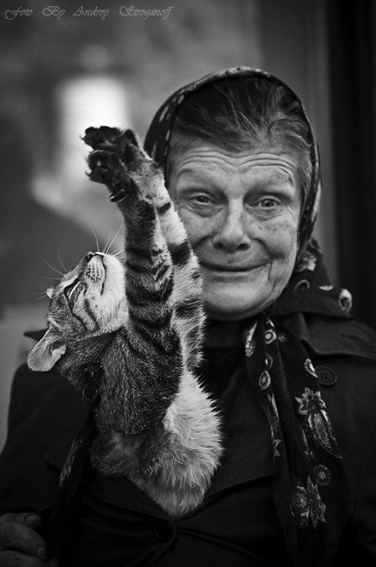 * * * * *photo preview