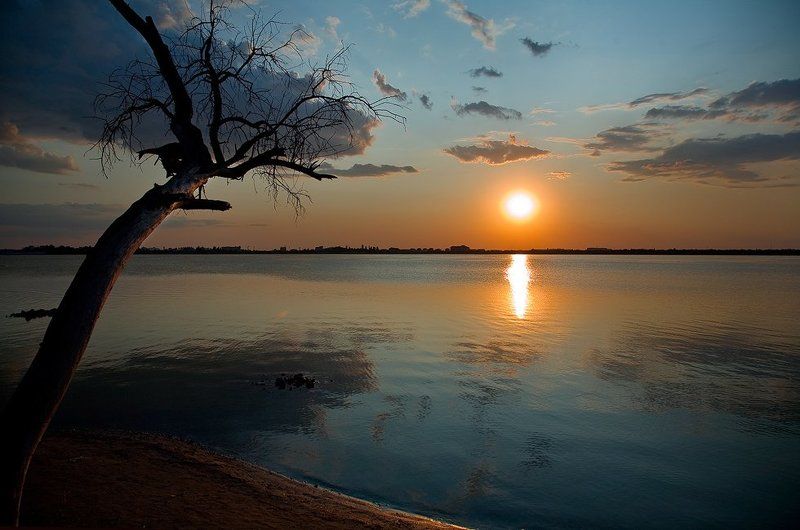 дерево, озеро, мойнаки, закат Одиночество...photo preview