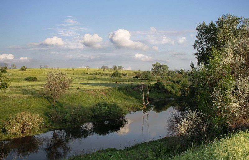 Там, где тихо плещет речка...photo preview