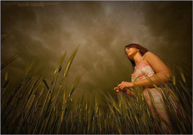 колосья что держат небоphoto preview