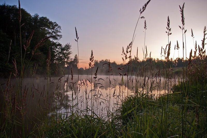 озеро, лето Дыхание озераphoto preview