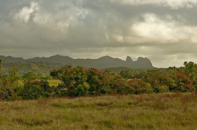 станко, горы, гавайские, острова, кауай Пахнет дождемphoto preview