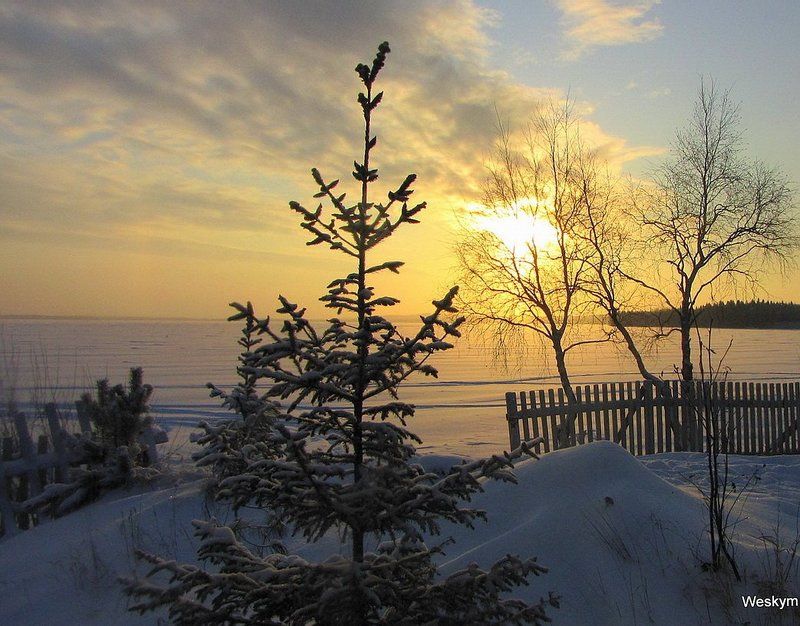 природа,пейзаж Природа зимой.photo preview