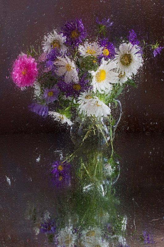 цветы, , хризантемы, , букет, , дождь Акварель дождяphoto preview