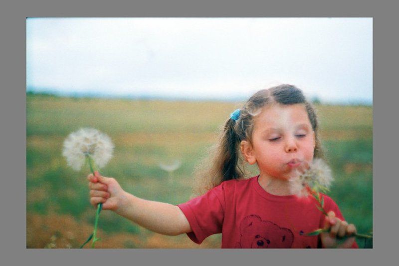 Лизин одуванчикphoto preview