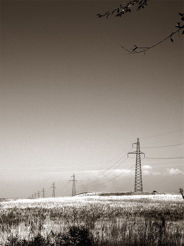 казахстан, степь Степьphoto preview