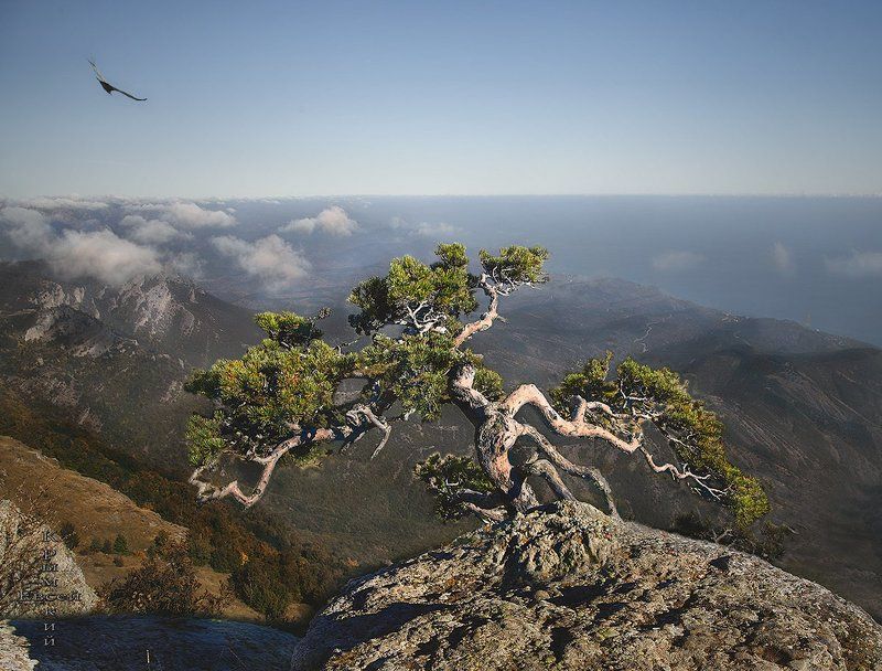 Крым. фото превью